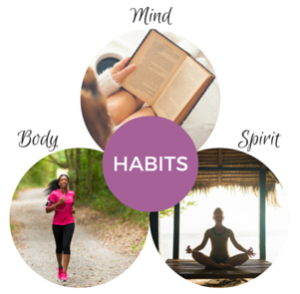 Body Mind and Spirit of Habits Book